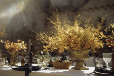 Lepor weddings _ Croatia Morosini grimani-4
