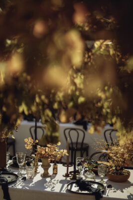 Lepor weddings _ Croatia Morosini grimani-5